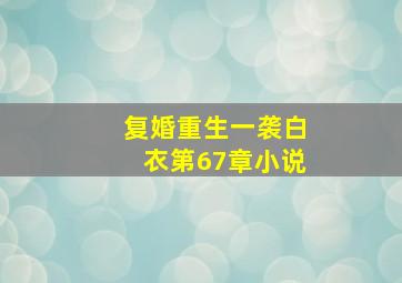 复婚重生一袭白衣第67章小说