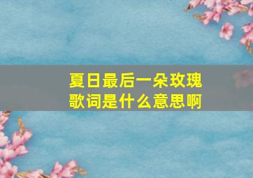 夏日最后一朵玫瑰歌词是什么意思啊