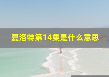 夏洛特第14集是什么意思