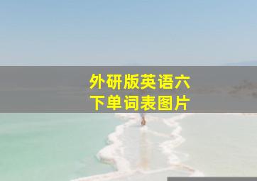 外研版英语六下单词表图片