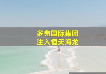 多弗国际集团注入恒天海龙