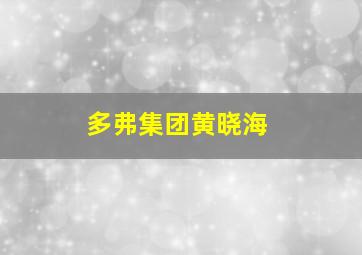 多弗集团黄晓海