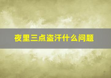 夜里三点盗汗什么问题