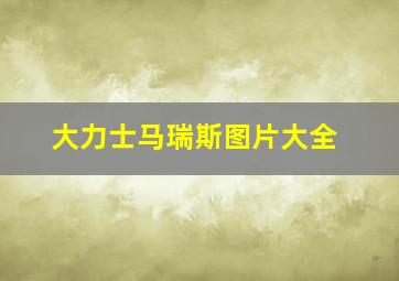 大力士马瑞斯图片大全