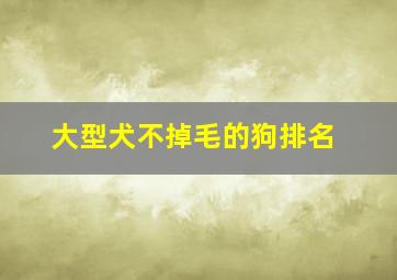 大型犬不掉毛的狗排名