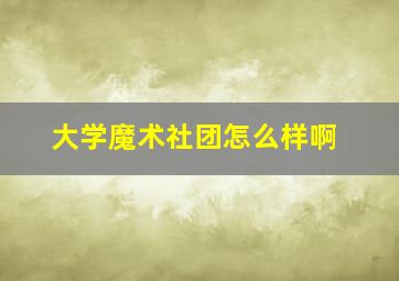 大学魔术社团怎么样啊