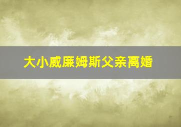 大小威廉姆斯父亲离婚