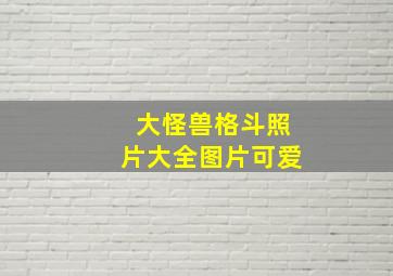 大怪兽格斗照片大全图片可爱