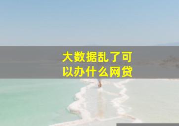 大数据乱了可以办什么网贷