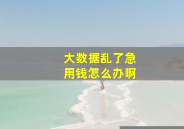 大数据乱了急用钱怎么办啊