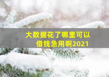 大数据花了哪里可以借钱急用啊2021