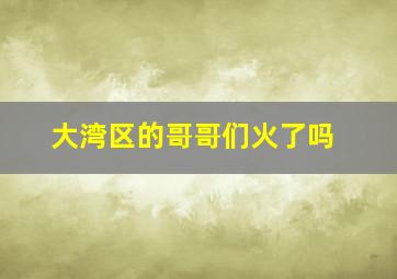 大湾区的哥哥们火了吗