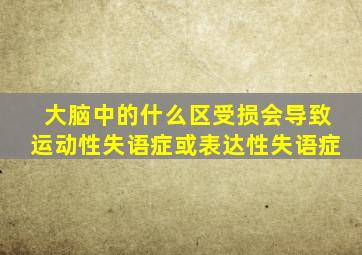 大脑中的什么区受损会导致运动性失语症或表达性失语症