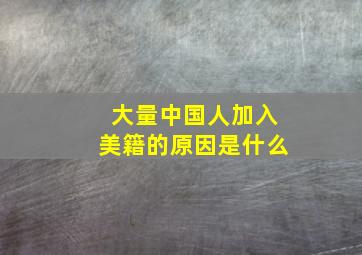 大量中国人加入美籍的原因是什么