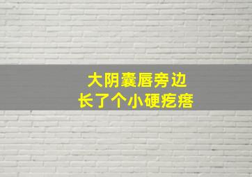 大阴囊唇旁边长了个小硬疙瘩