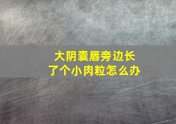 大阴囊唇旁边长了个小肉粒怎么办