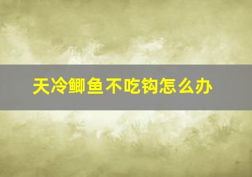 天冷鲫鱼不吃钩怎么办