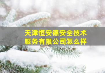 天津恒安德安全技术服务有限公司怎么样