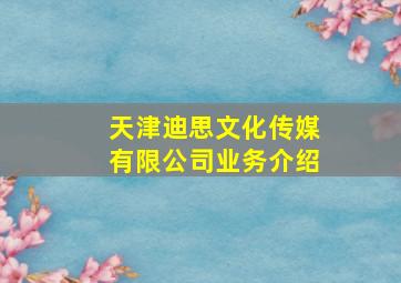 天津迪思文化传媒有限公司业务介绍