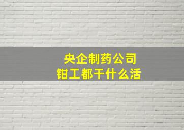 央企制药公司钳工都干什么活