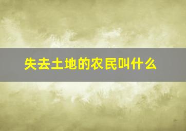 失去土地的农民叫什么