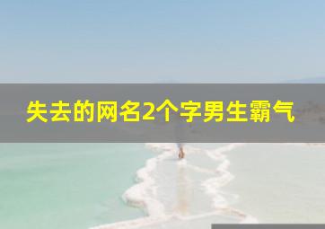 失去的网名2个字男生霸气