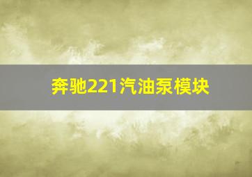 奔驰221汽油泵模块