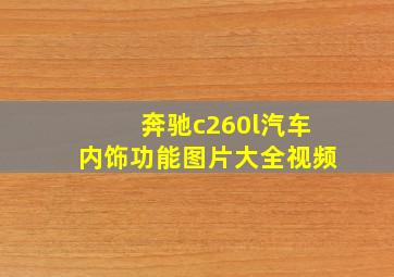 奔驰c260l汽车内饰功能图片大全视频