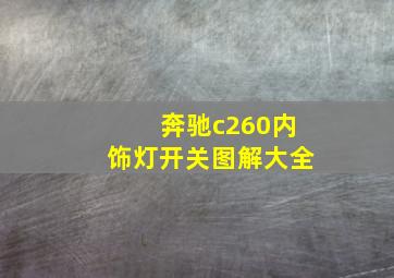 奔驰c260内饰灯开关图解大全