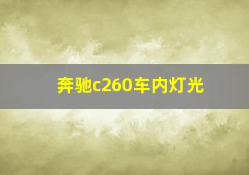 奔驰c260车内灯光