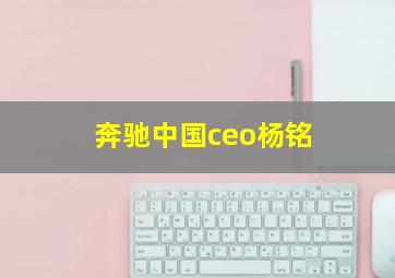 奔驰中国ceo杨铭