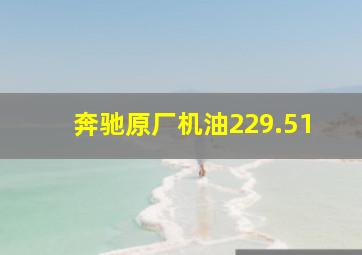 奔驰原厂机油229.51