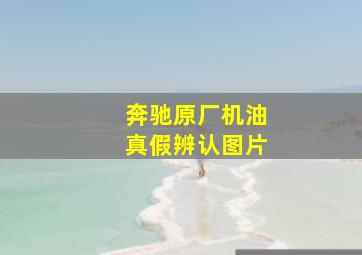 奔驰原厂机油真假辨认图片