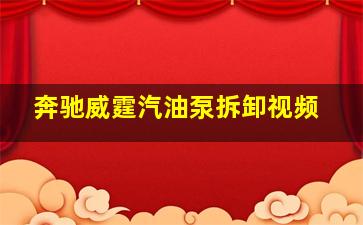 奔驰威霆汽油泵拆卸视频