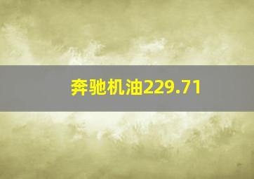 奔驰机油229.71