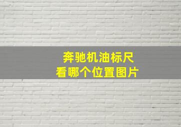 奔驰机油标尺看哪个位置图片