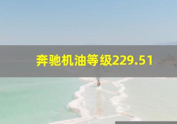 奔驰机油等级229.51