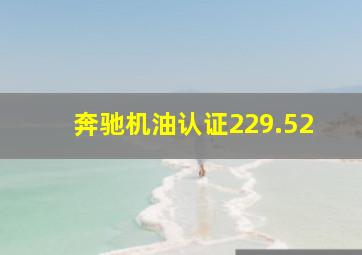 奔驰机油认证229.52