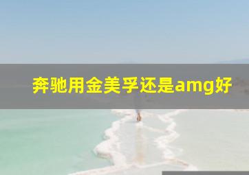 奔驰用金美孚还是amg好