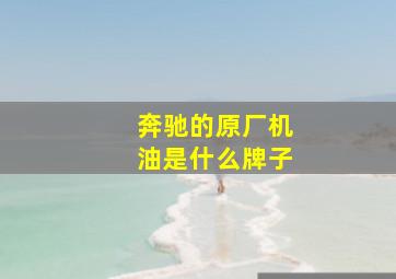 奔驰的原厂机油是什么牌子