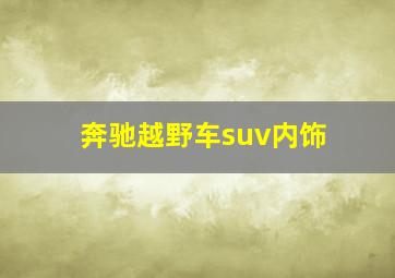 奔驰越野车suv内饰