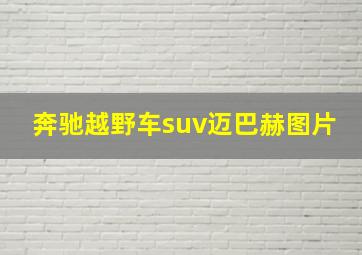 奔驰越野车suv迈巴赫图片