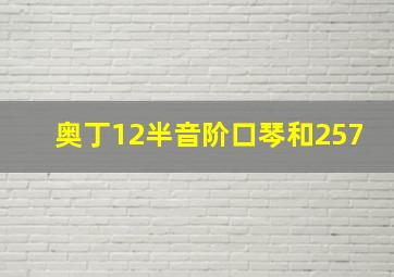 奥丁12半音阶口琴和257