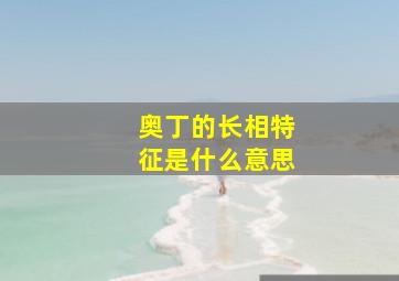 奥丁的长相特征是什么意思