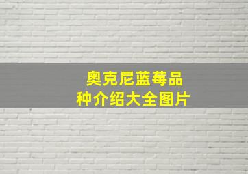 奥克尼蓝莓品种介绍大全图片