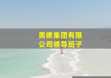 奥德集团有限公司领导班子