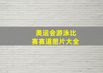 奥运会游泳比赛赛道图片大全