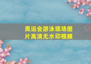 奥运会游泳现场图片高清无水印视频