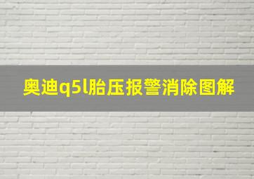 奥迪q5l胎压报警消除图解