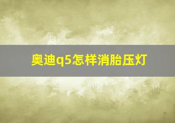 奥迪q5怎样消胎压灯